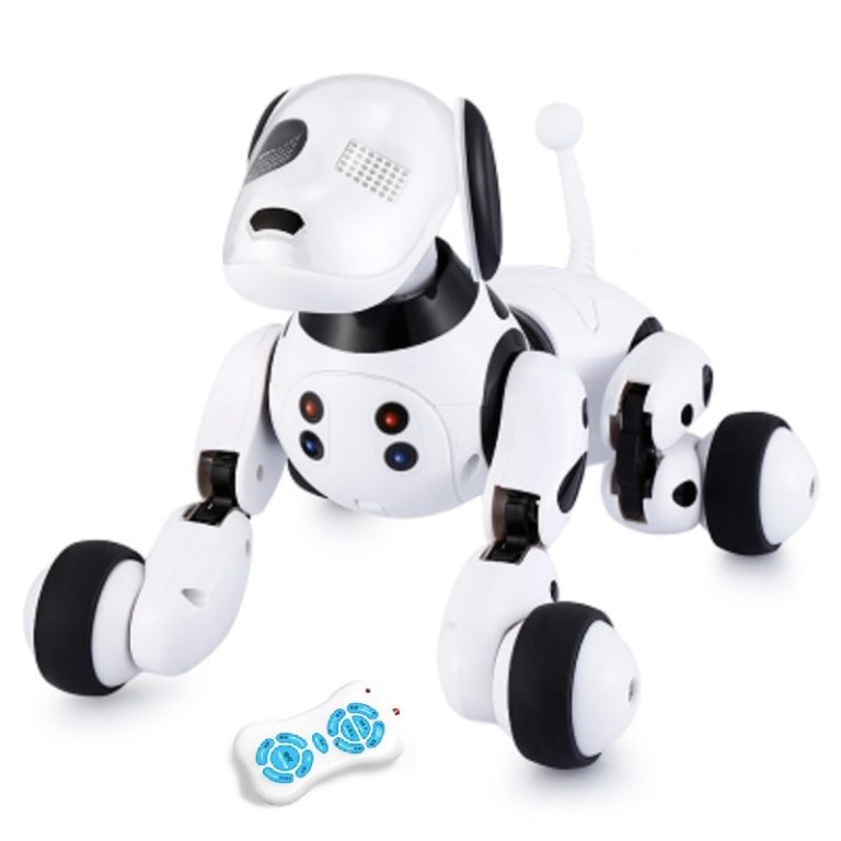 Wireless Talking Remote Control Pet Dog Pet Kid Loves Toys